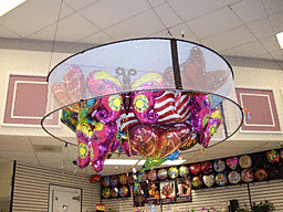 Balloon Corral 6' x 24"